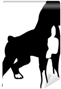 Boxer / Deutscher Boxer / Hunderasse Wall Mural • Pixers® - Boxer (400x400)