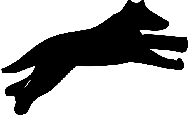 Cat, Dog, Tiger, Lion, Puppy, Pet, Animal, Pup, - Dog Silhouette Png Running (960x585)