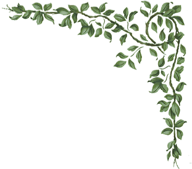 Free Printables - Cornici Foglie Png (391x345)