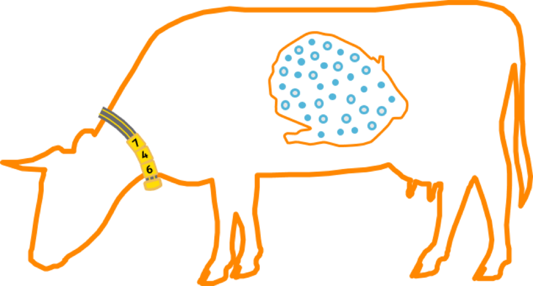 Nedap Smarttag Neck - Rumen Cow (1070x574)