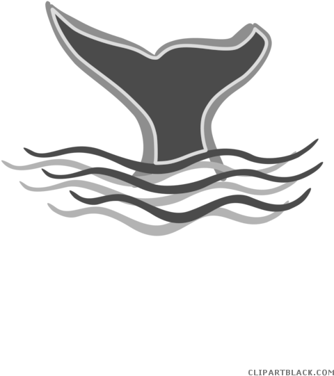 Whale Animal Free Black White Clipart Images Clipartblack - Tail Clip Art (495x700)