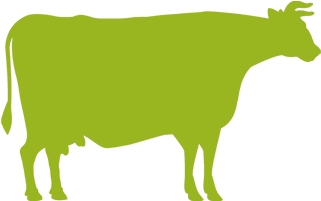 Delight & Well-being - Cortes De Carne De Res (430x430)