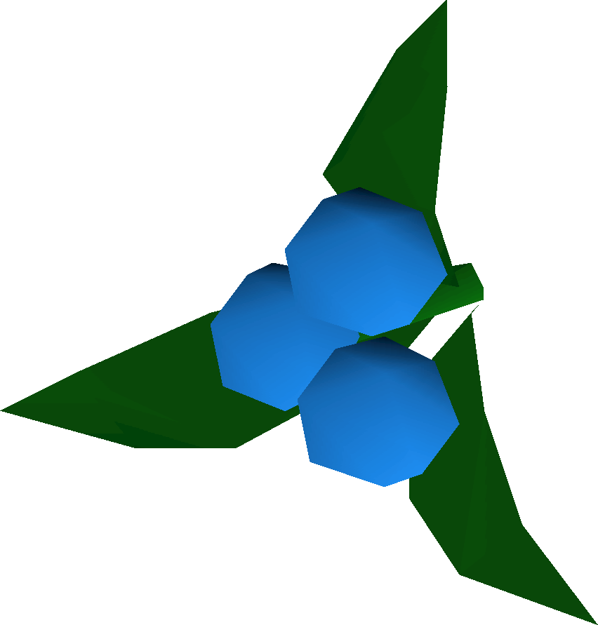 Dwellberries Detail - Old School Runescape (852x891)