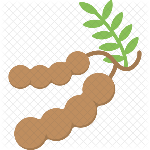 Tamarind Icon - Tamarind Icon (512x512)