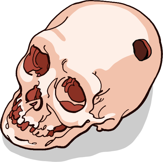 For The Time Being, However, Medicines Derived From - For The Time Being, However, Medicines Derived From (560x556)