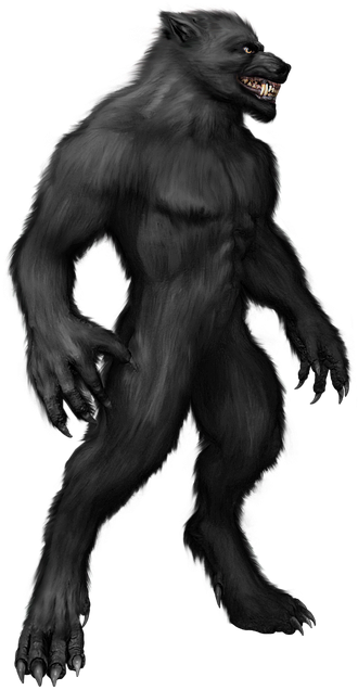 Werewolf Png (363x640)