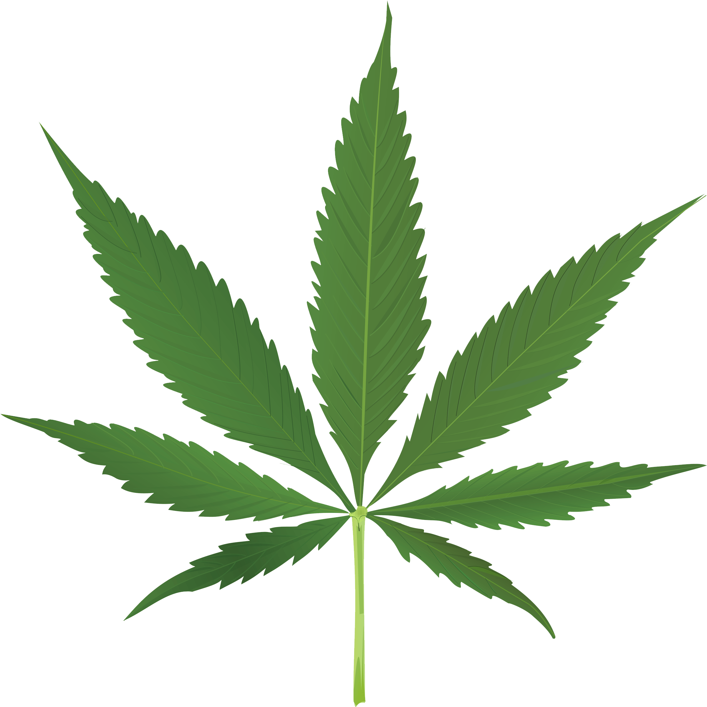 Pot Leaf Clipart No Background - Cannabis Leaf (2600x2600)