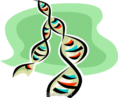 Dna Royalty Free Vector Clip Art Illustration - Graphic Design (480x396)