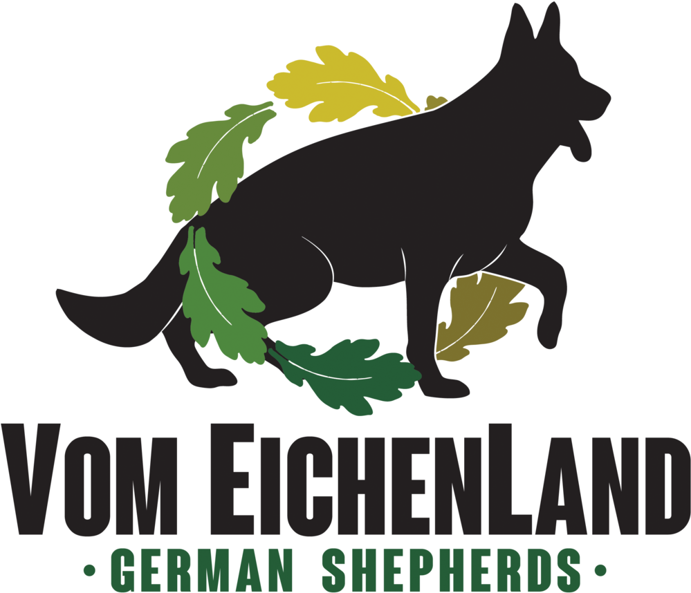 Our Values - Portable Network Graphics (1000x960)