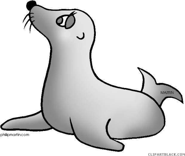 Seal Animal Free Black White Clipart Images Clipartblack - Clip Art (648x557)