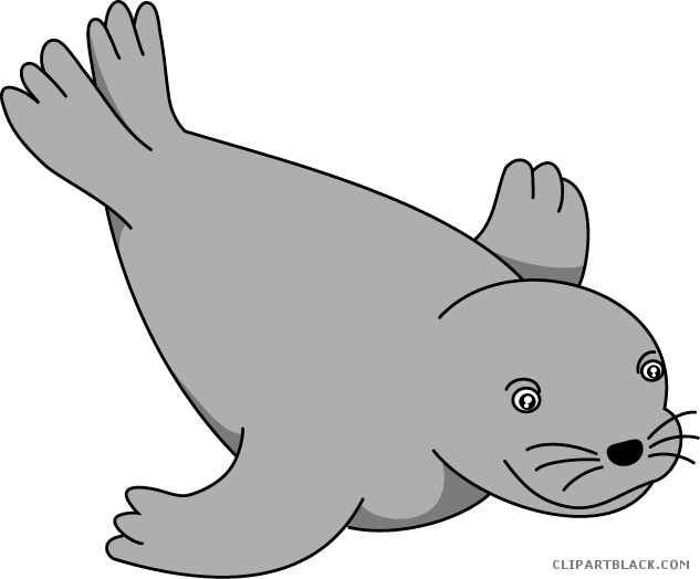 Seal Animal Free Black White Clipart Images Clipartblack - Clip Art (633x524)