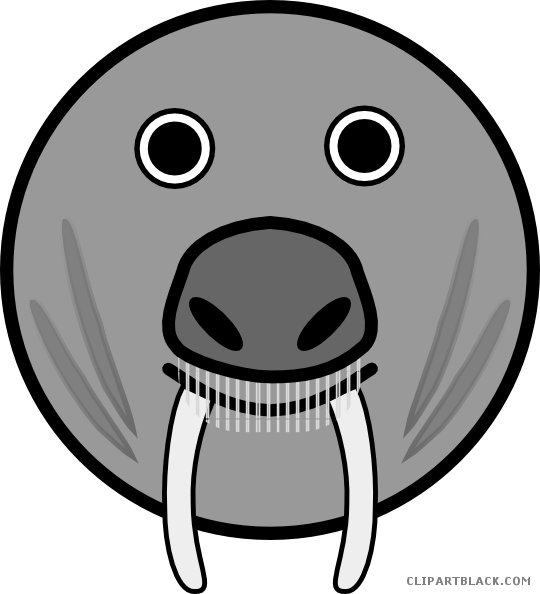 Seal Animal Free Black White Clipart Images Clipartblack - Animal Rounded Clipart Face (540x594)