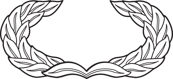 Air Force Maintenance Badge (600x273)