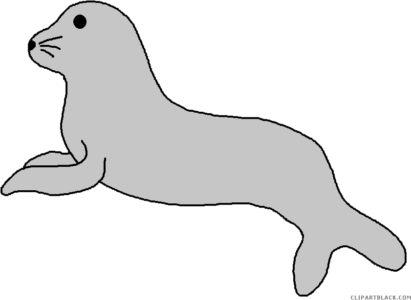 Seal Animal Free Black White Clipart Images Clipartblack - Cartoon Seals (862x633)