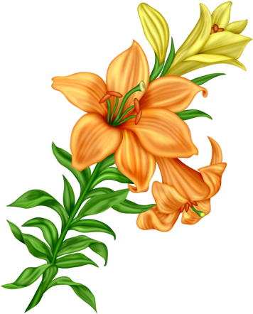 Wp Tos Flower14 - Flower (376x480)