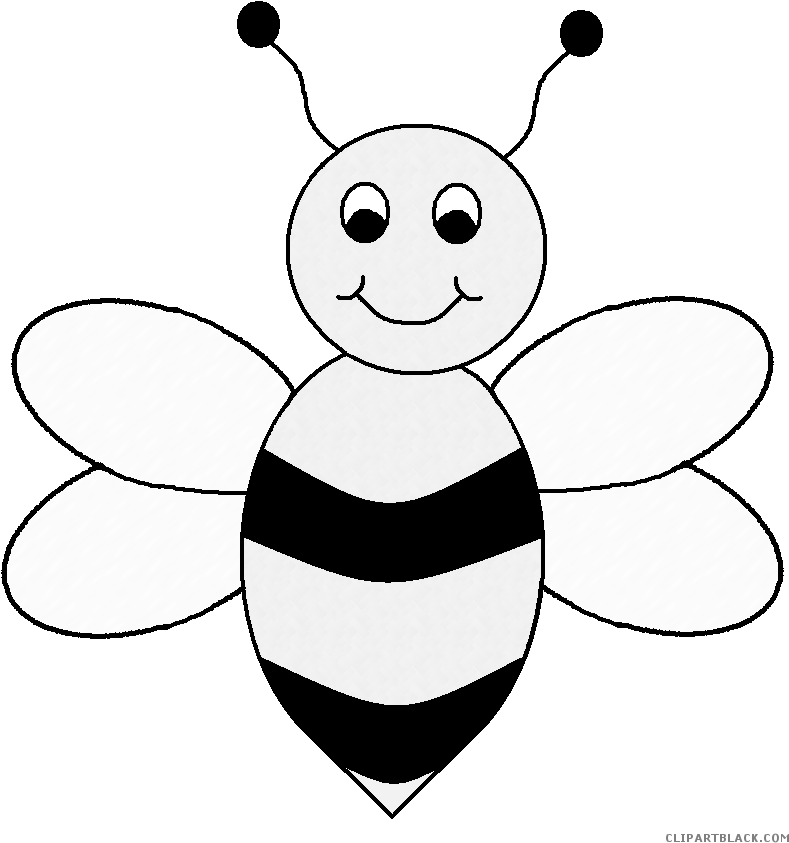 Small Bee Animal Free Black White Clipart Images Clipartblack - Color Of A Bee (804x857)