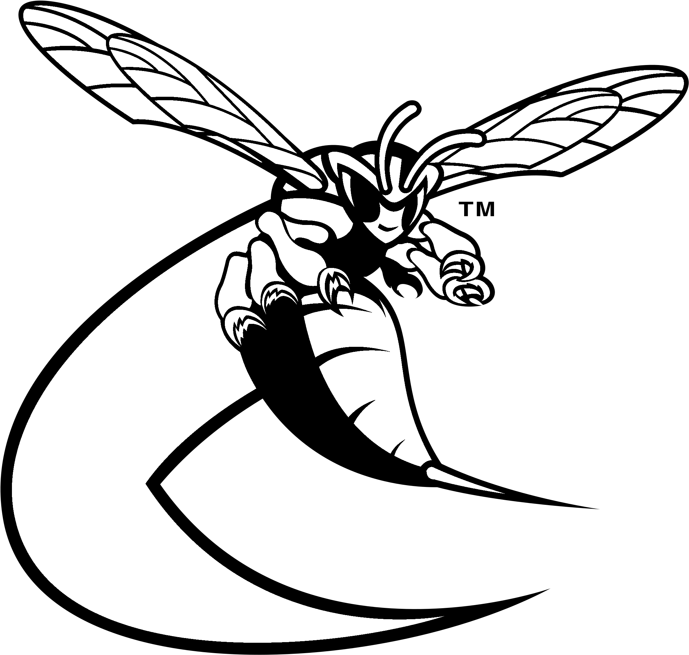 Delaware State Hornets Logo Black And White - Delaware State Hornets Football (2400x2400)