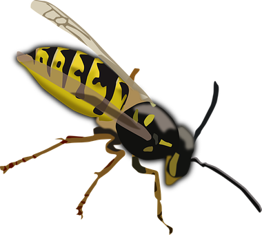 Wasp Hornet Bee Insect Sting Yellow Black - Black And Yellow Insect With Wings (380x340)