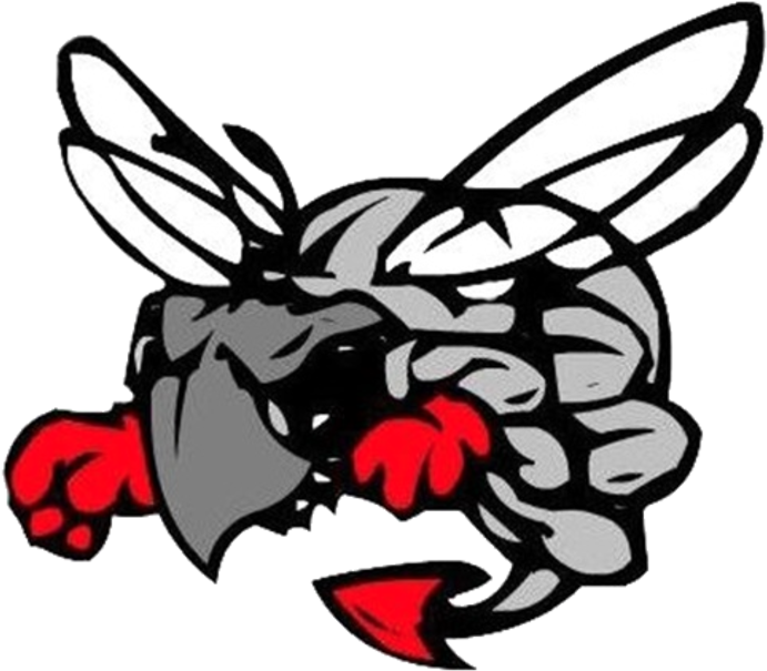 Hilldale Hornets - Hilldale High School Logo (720x720)