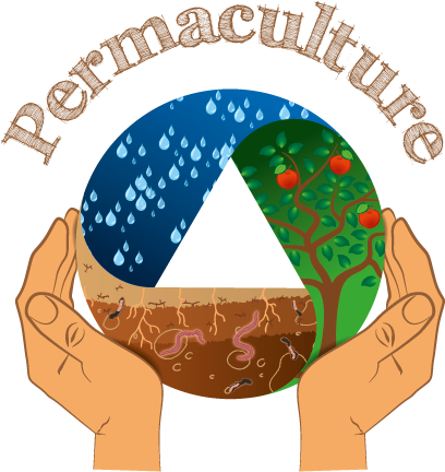Permaculture As A Special Kind Of Organic Farming - Propel Info (533x533)