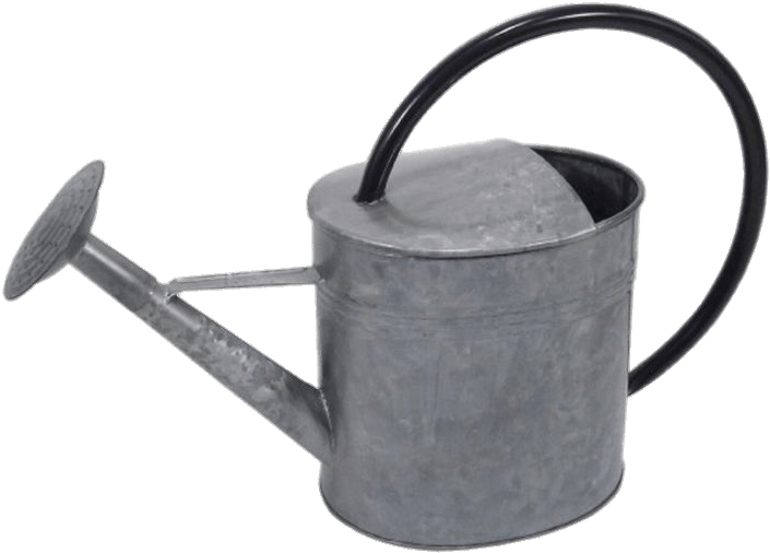 Galvanised Watering Can - Watering Can (736x736)