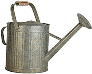 Vintage Galvanised Watering Can - 2 Gallon Galvanized Watering Can (400x400)