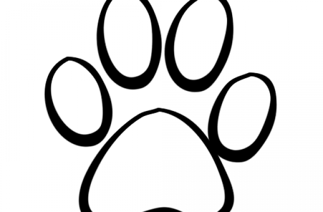 Coloring Pages Of Dog Paw - Paw Print Clip Art (640x420)