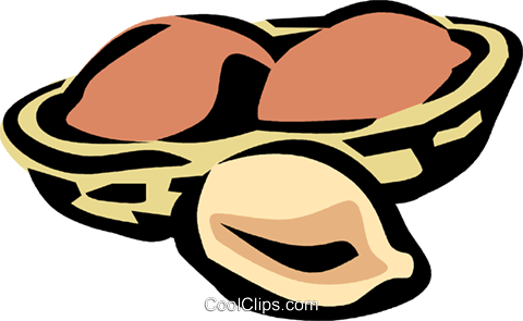 Peanut In Half Shell Royalty Free Vector Clip Art Illustration - Model Reuse Strategies: Can Requirements Drive Reuse (480x295)