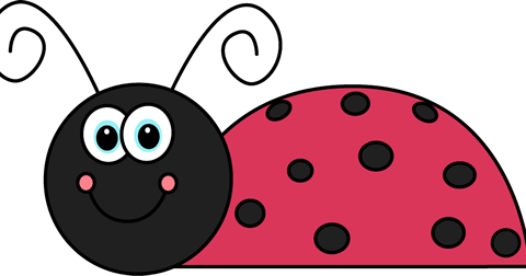 Smiley Face Clip Art (480x252)