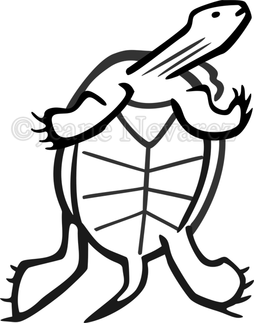 Turtle Swimming - Turtle Swimming (520x659)