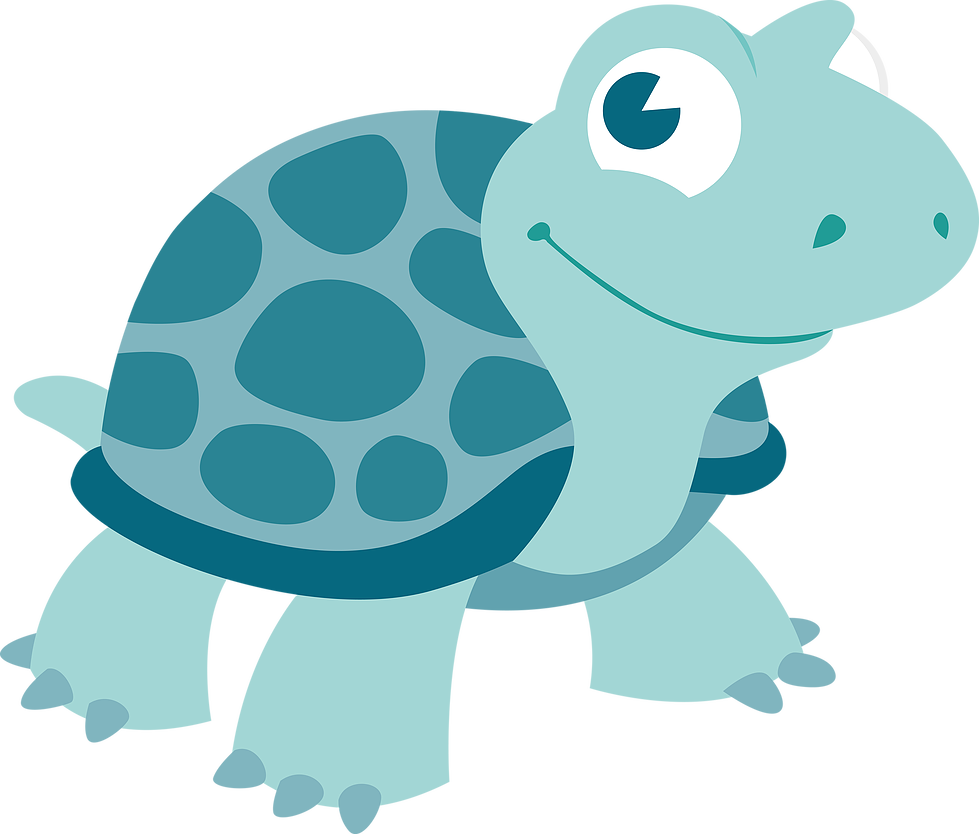 Swim With Mark - Turtle (979x834)