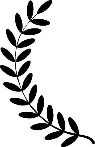 Vine Clipart Laurel Pencil And In Color Vine Clipart - Leaf Branch Clip Art (333x517)