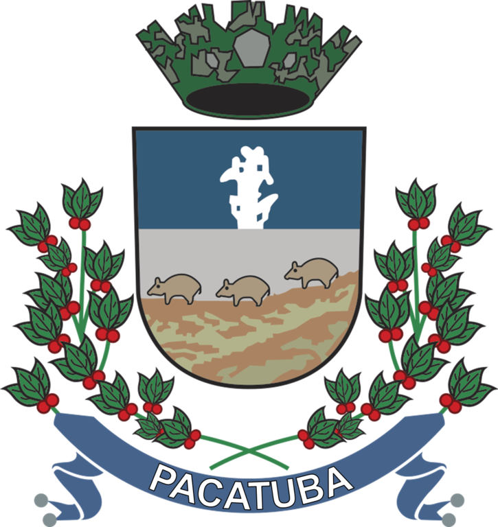 Brasao De Pacatuba - Pacatuba Brasao (725x768)