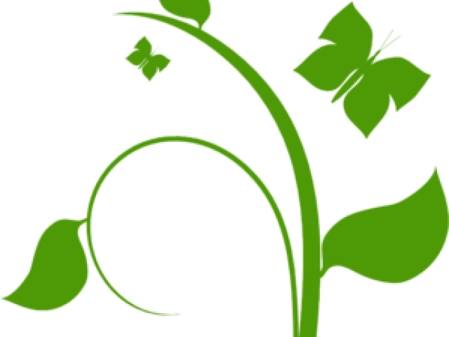 Free Horizontal Vine Clipart - Flower Vine Clip Art (640x480)