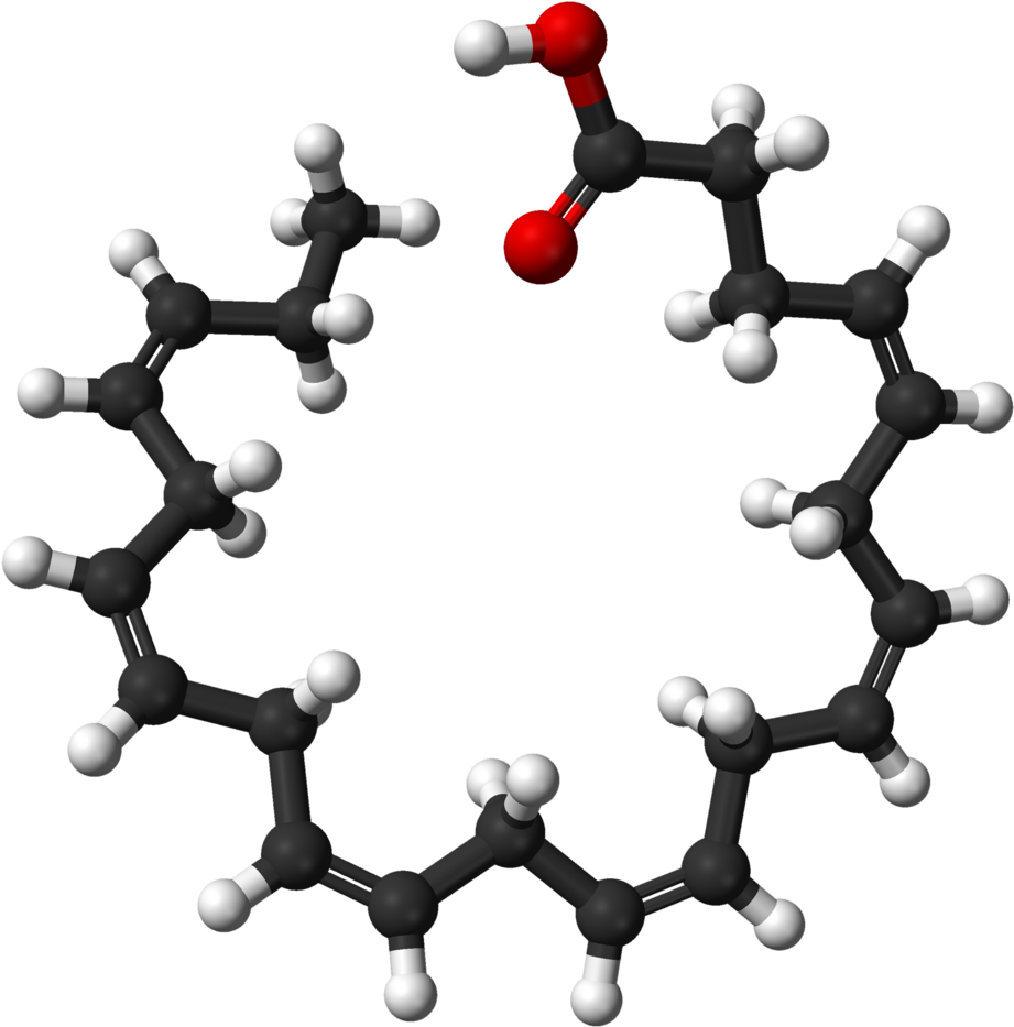 File - Docosahexaenoic Ac - Docosahexaenoic Acid (1012x1024)