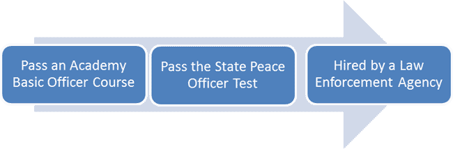 Resume Sample » Texas Police Academy Requirements - Software Testing Career Path (650x214)