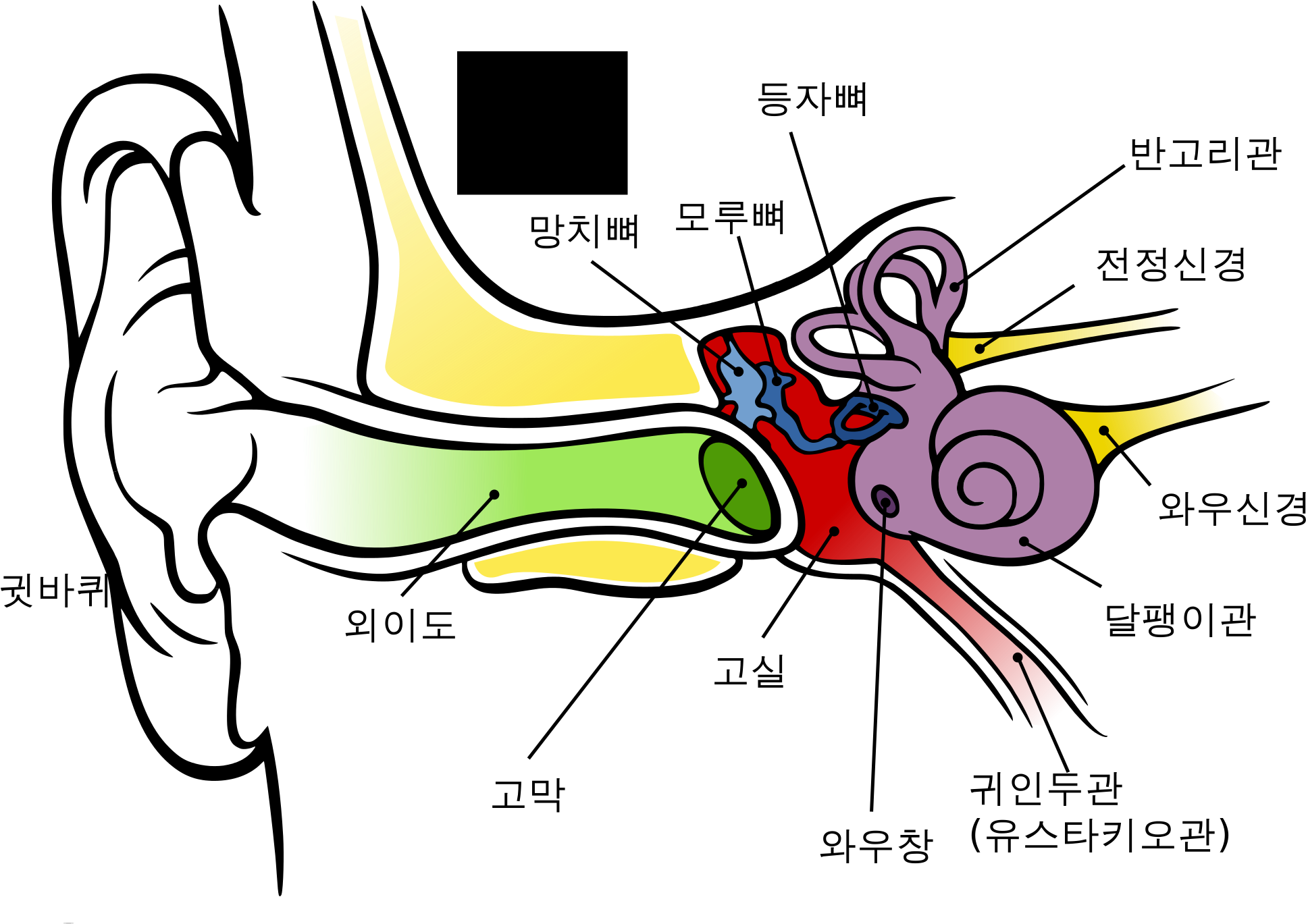 Anatomy Of Ear Coloring File The Human Kr Svg Wikimedia - Anatomy Of The Human Ear (2000x1500)