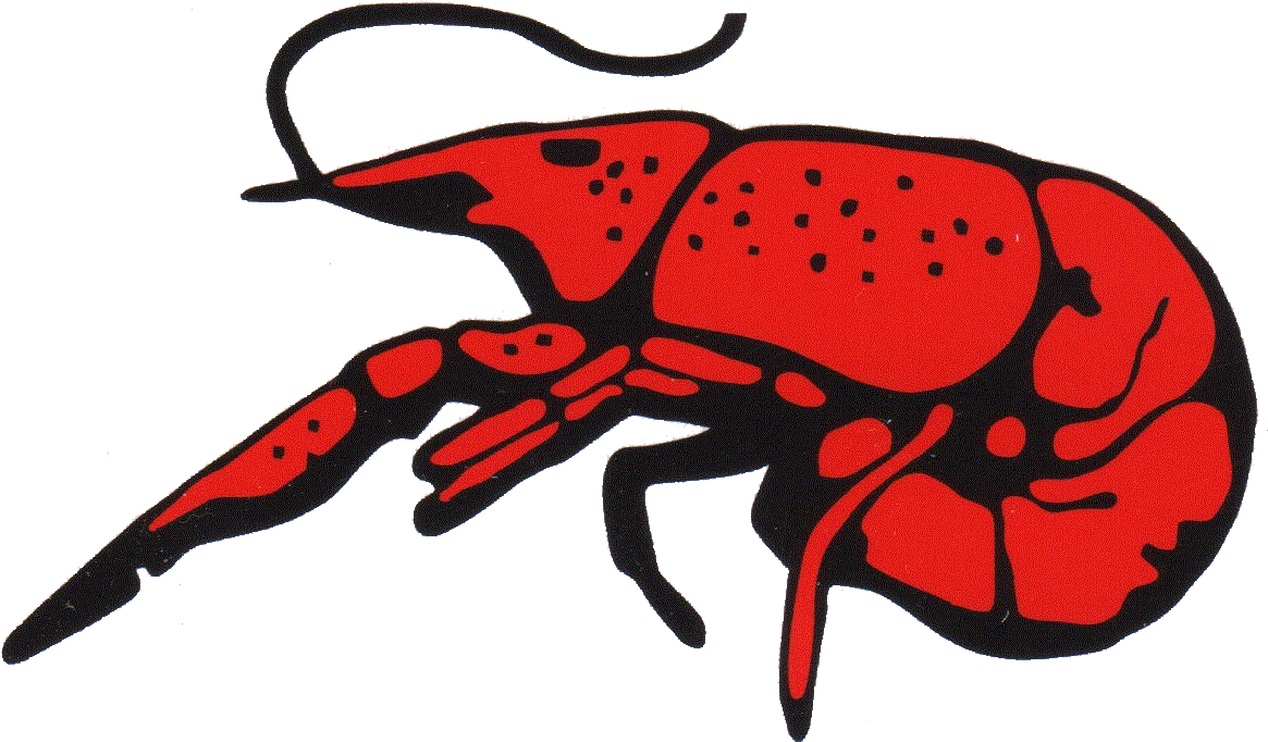 「crab Logo」的圖片搜尋結果 - Perlis Clothing (1190x689)