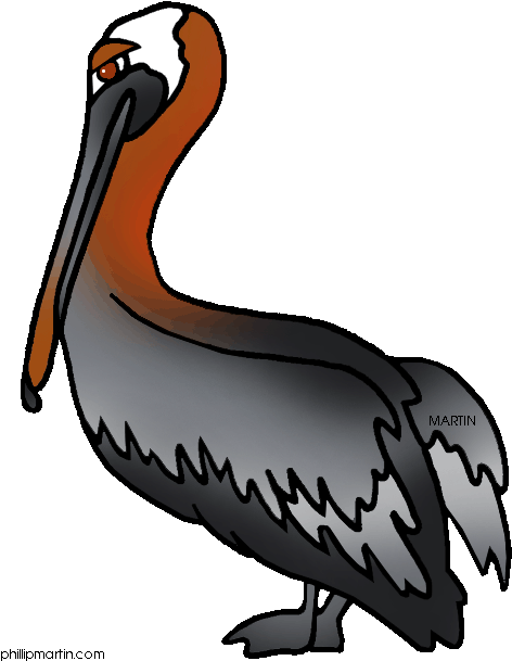 Louisiana Clipart Transparent - Louisiana State Brown Pelican (515x648)