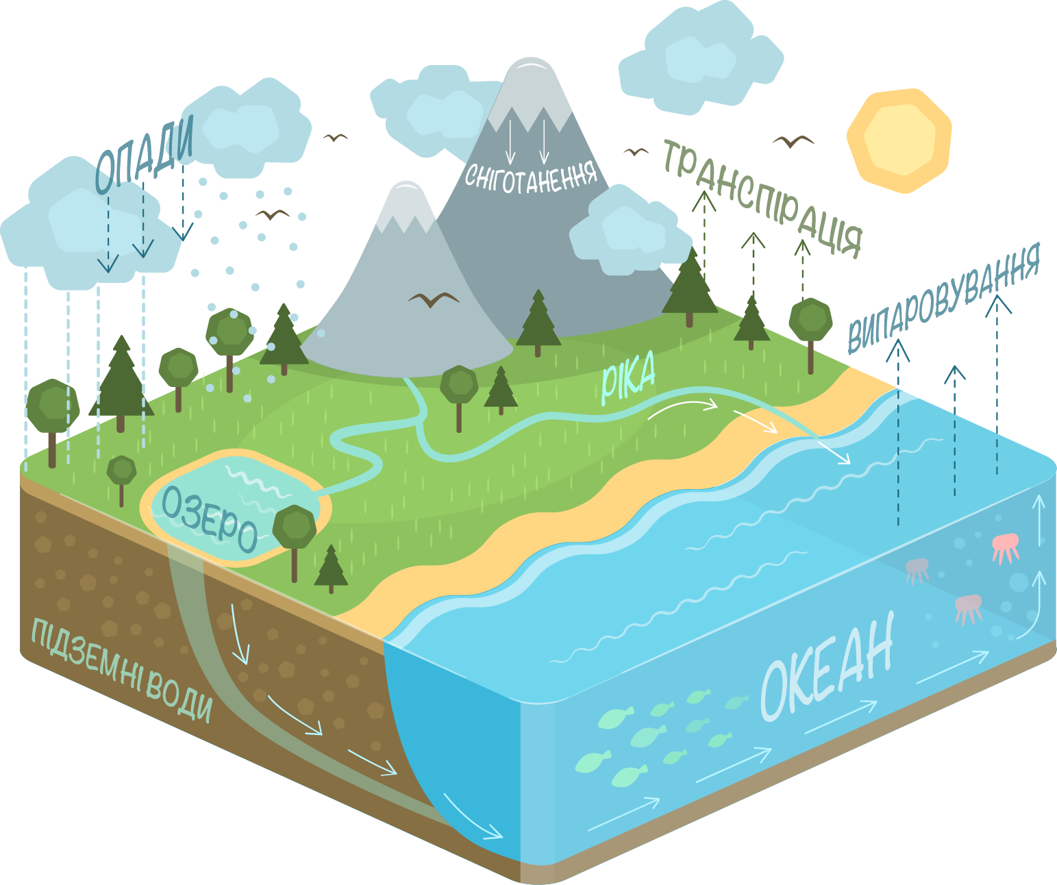 Diagrams Diagrams Best 15 Diagram Of Water Cycle Kids Water Cycle