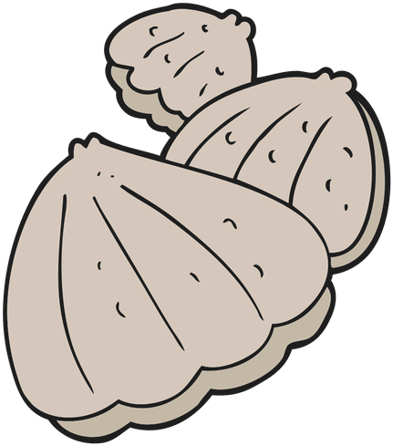 Clams - 0shares - Clams Cartoon (500x500)