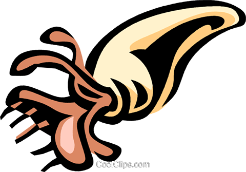 Tusk Shell Royalty Free Vector Clip Art Illustration - Clipart Tusk Shells (480x335)