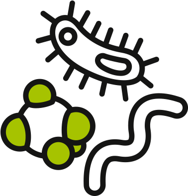 Food Born Microorganisms Will Start To Grow Immediately - Food Born Microorganisms Will Start To Grow Immediately (390x410)