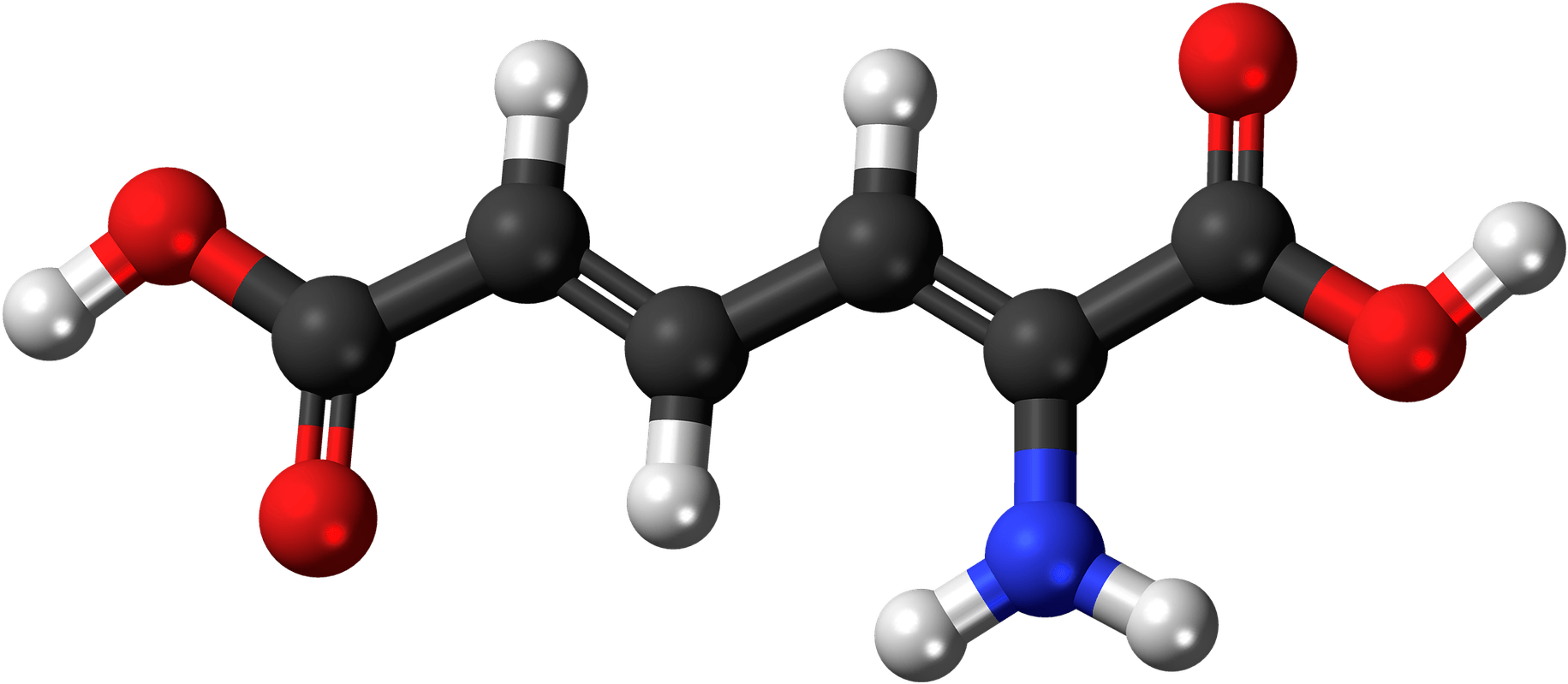 Metabolic Adaptation Of Endurance Athletes - Amine Compounds (chemical Compounds) (1920x888)