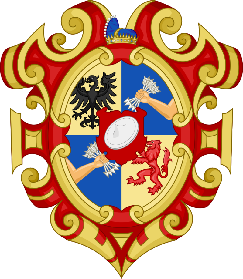 Ducal Coa Of Israel By Gouachevalier - King Of Scots Banner Twin Duvet (800x920)