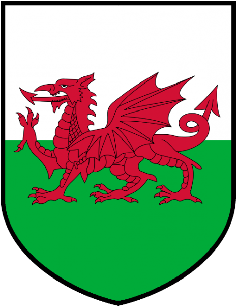 Wales Coat Of Arms Shirt Version - Welsh Flag (600x600)