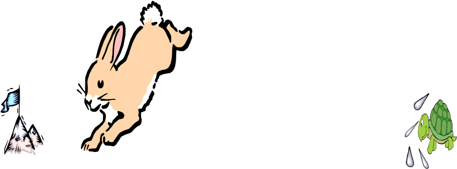 The Tortoise Agreed - The Tortoise Agreed (913x355)