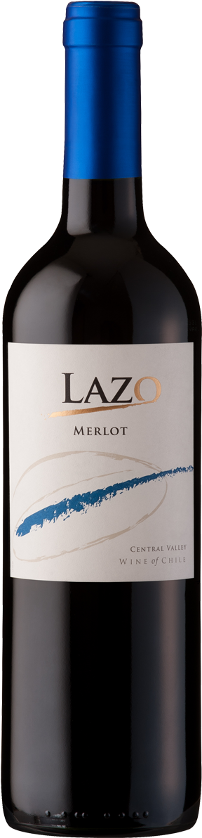 Wirra Wirra Shiraz Cabernet Petitte Verdot Scrubby (376x1229)