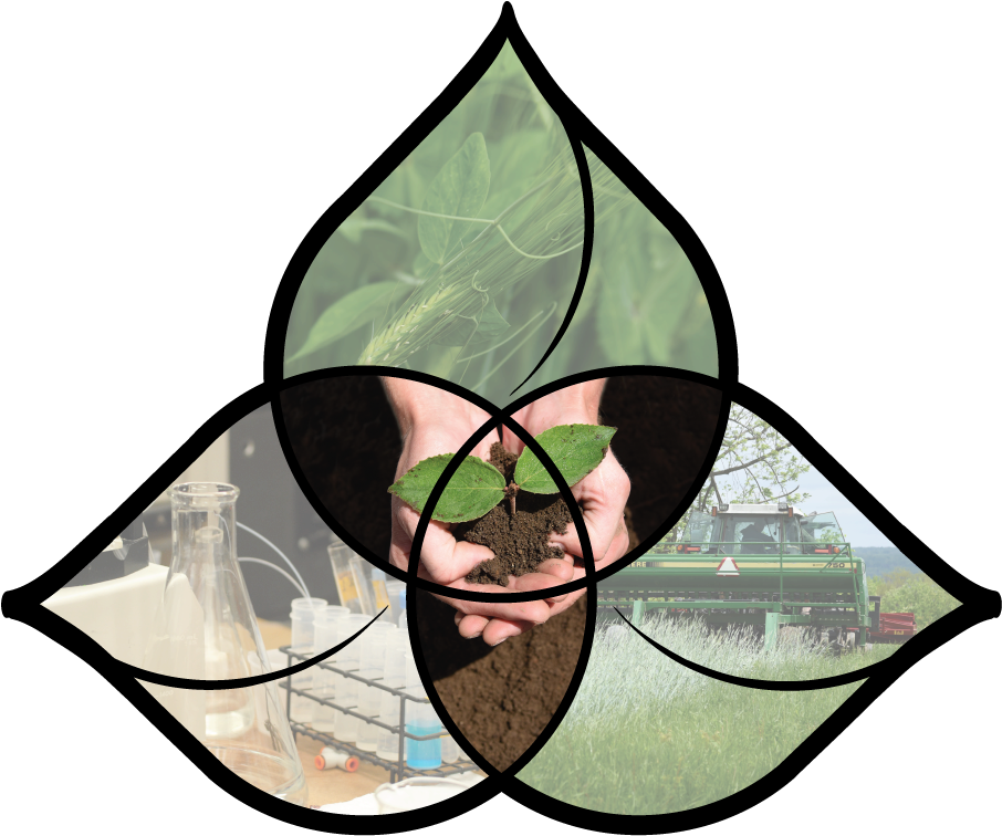 Cornell Soil Health Lab - Stained Glass (966x807)