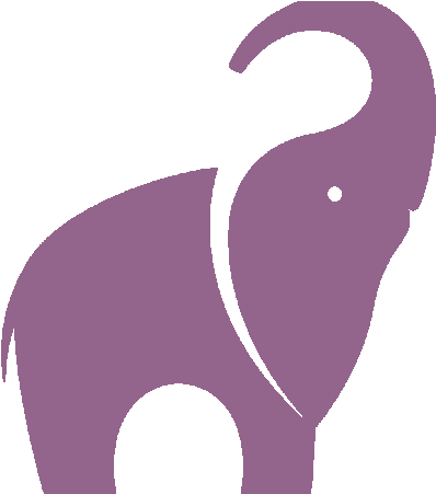 You Decided To Walk Around - Indian Elephant (794x450)